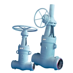 Dewrance wedge gate and parallel slide valve